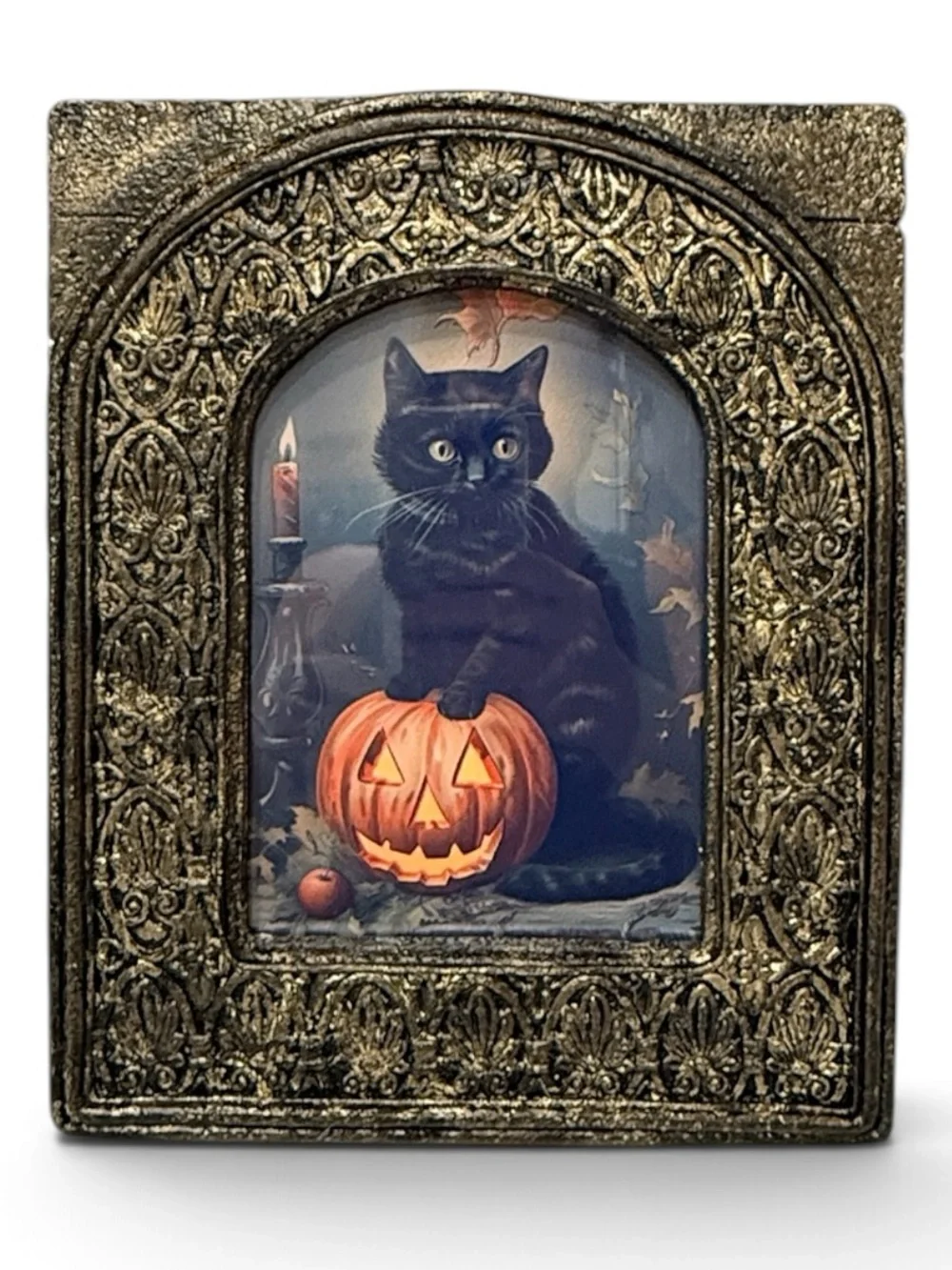 Vintage showcases black